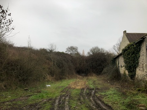IMG 6540