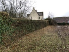 IMG 6551
