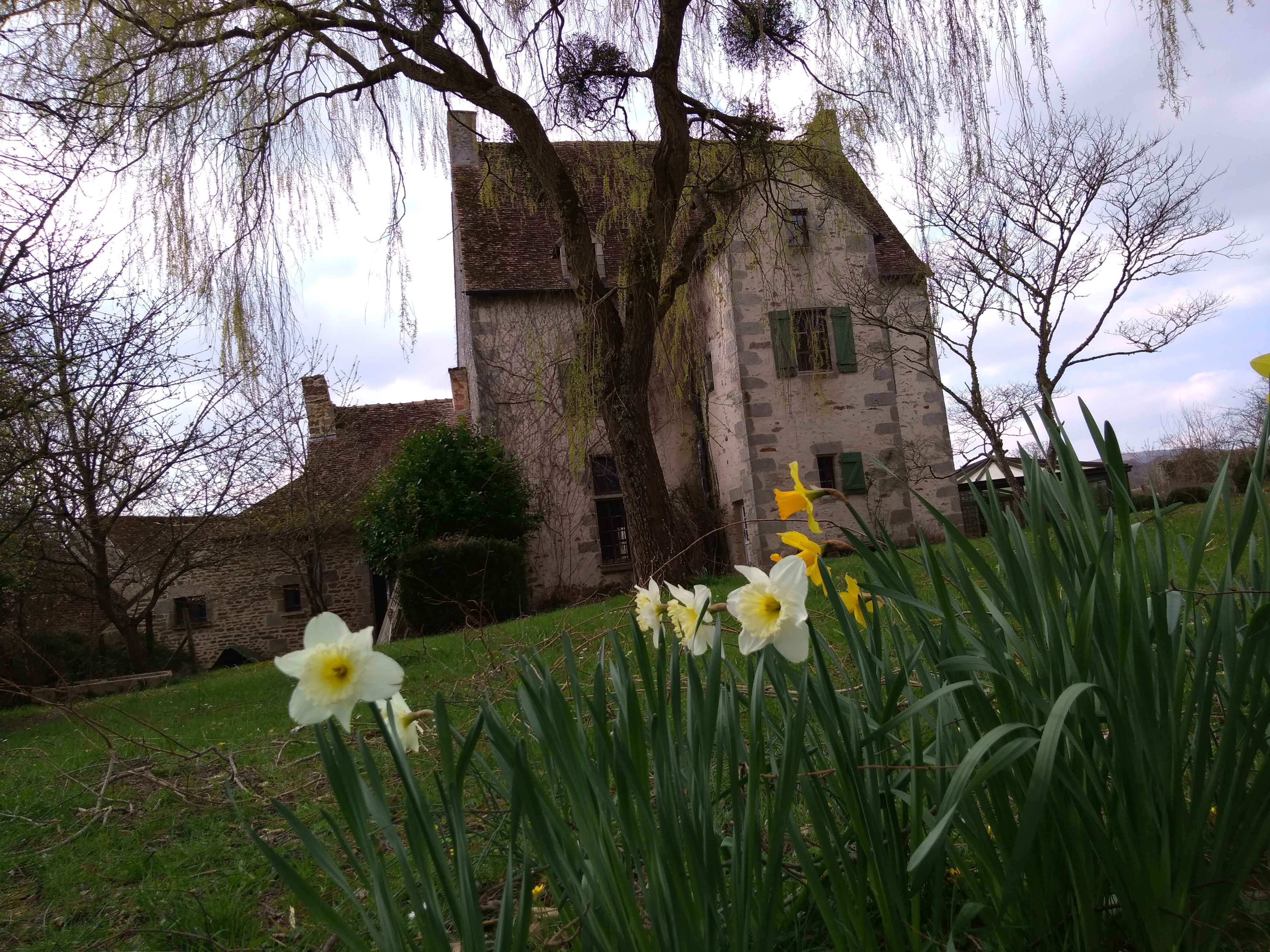 le printemps est arriv